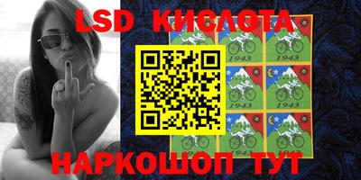 шишки Ставрополь