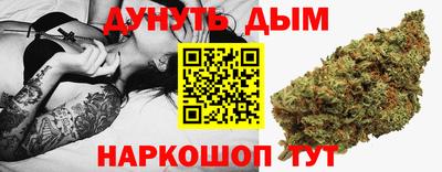 шишки Ставрополь