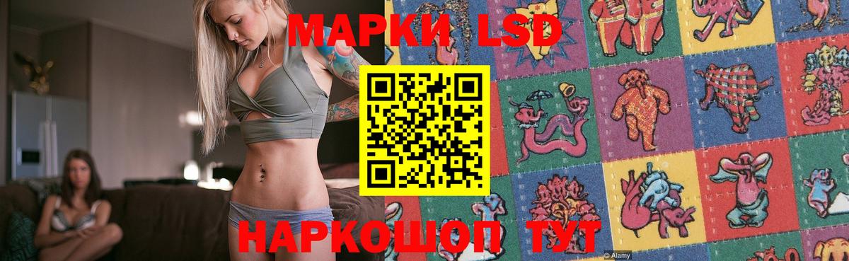 Сальск  Лсд 25 экстази кислота  ЛСД экстази кислота  LSD-25 экстази  Вход с VPN 
